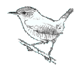 img7.gif